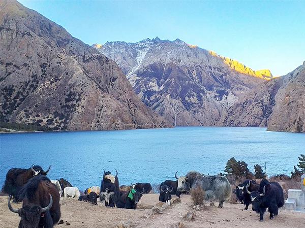 Lower Dolpo Trek cost
