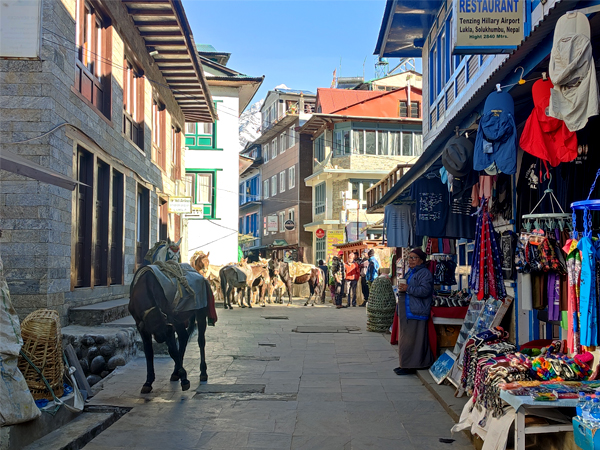 Everest Panorama Trek Highlights 