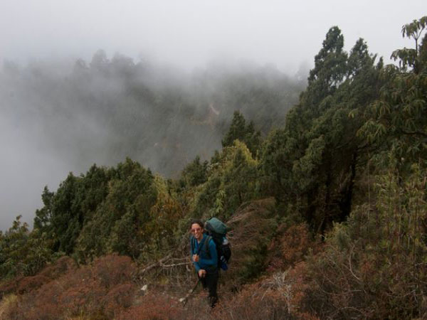 The trekker walking near Tharepati on day-3