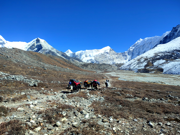 Island Peak Itinerary