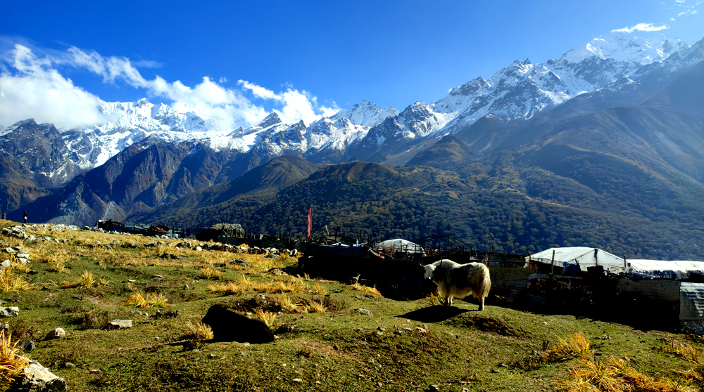 Kyanjin Gumba with Dorje Lakpa mountain views and traditional Sherpa homes