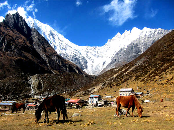 View from Kyanjin Gompa