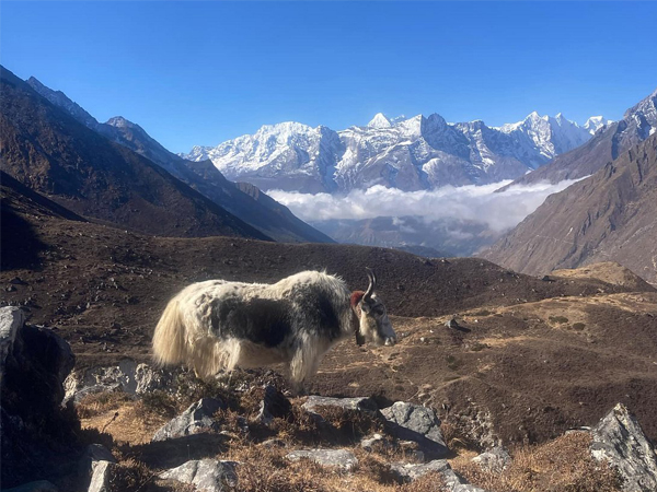 Lobuche peak itinerary with EBC trek