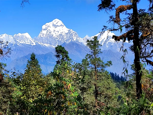 Best time to trek Mohare Danda