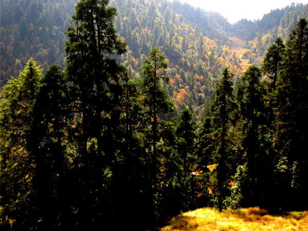 Mohare Danda Trek Itinerary