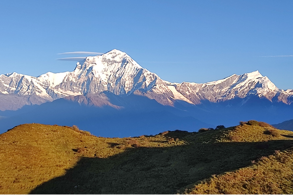 Annapurna
                         Dhaulagiri Panorama