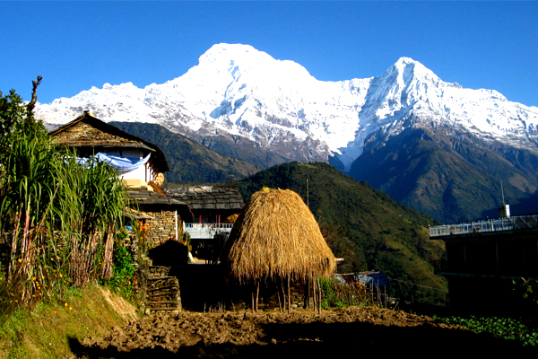 Annapurna
                         PeaksVillages Trek
